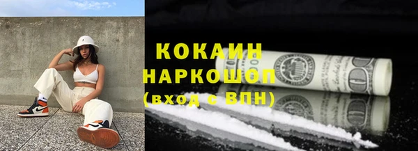 дживик Новодвинск