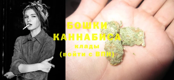 дживик Новодвинск