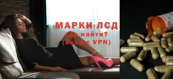 дживик Новодвинск