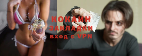 дживик Новодвинск
