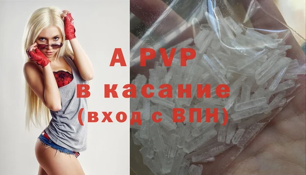 apvp Богданович