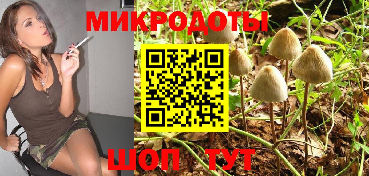 закладки  Псилоцибиновые грибы Psilocybine cubensis  Вход с VPN  Шуя 