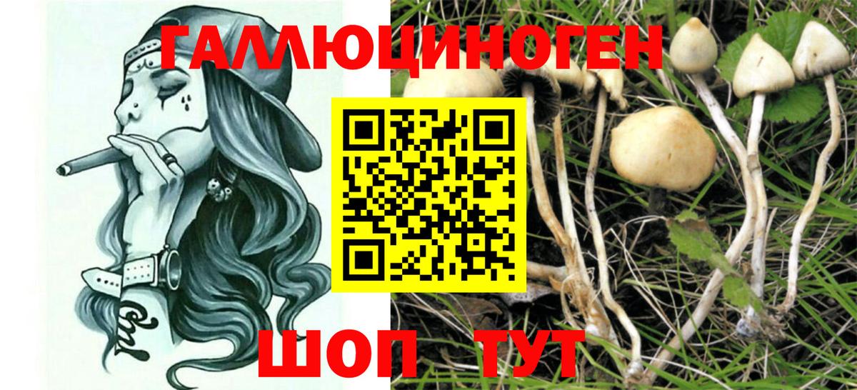 Галлюциногенные грибы Magic Shrooms Шуя