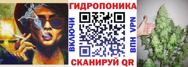 Шишки марихуана LSD WEED  как найти закладки  Шуя 